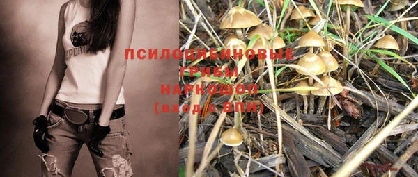 дмт Покачи