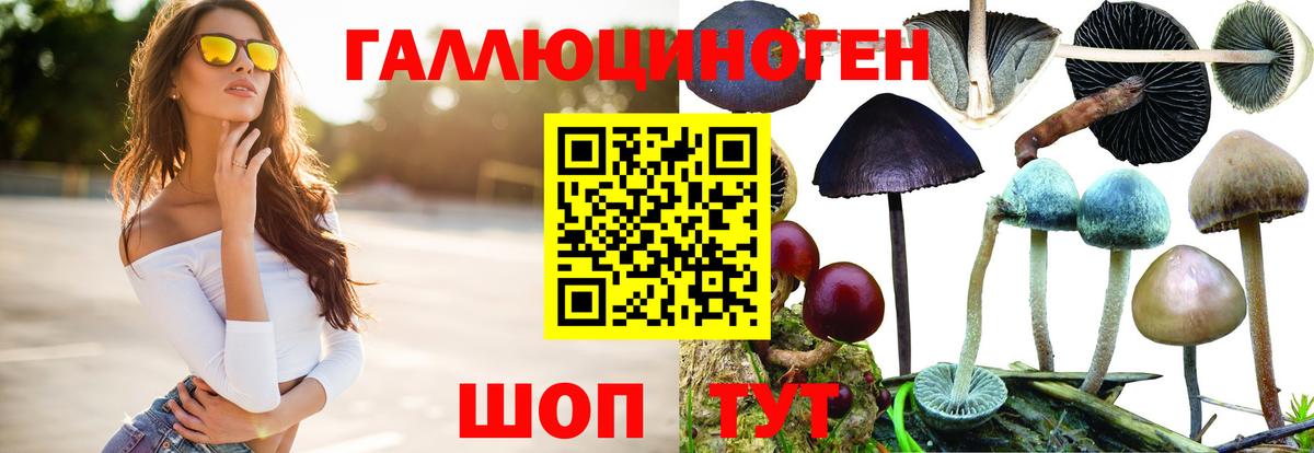 Галлюциногенные грибы ЛСД Шарыпово